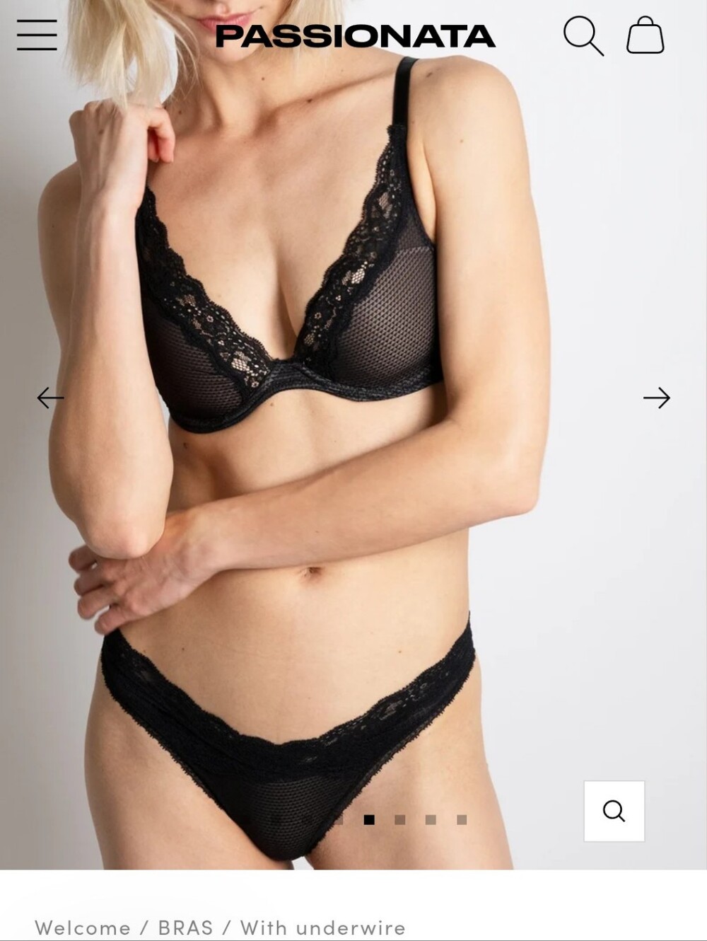 30DD Passionata Brooklyn Plunge bra